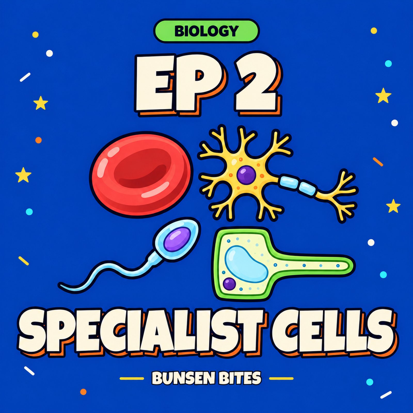 The Cells That Threw Away Their DNA (Biology Level 8)