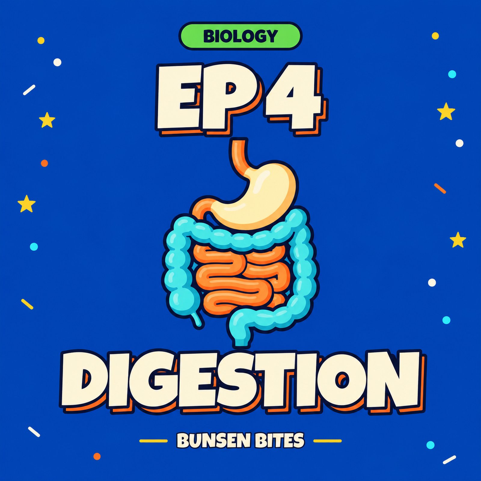 The Cracker That Turns Sweet (Biology Level 8)