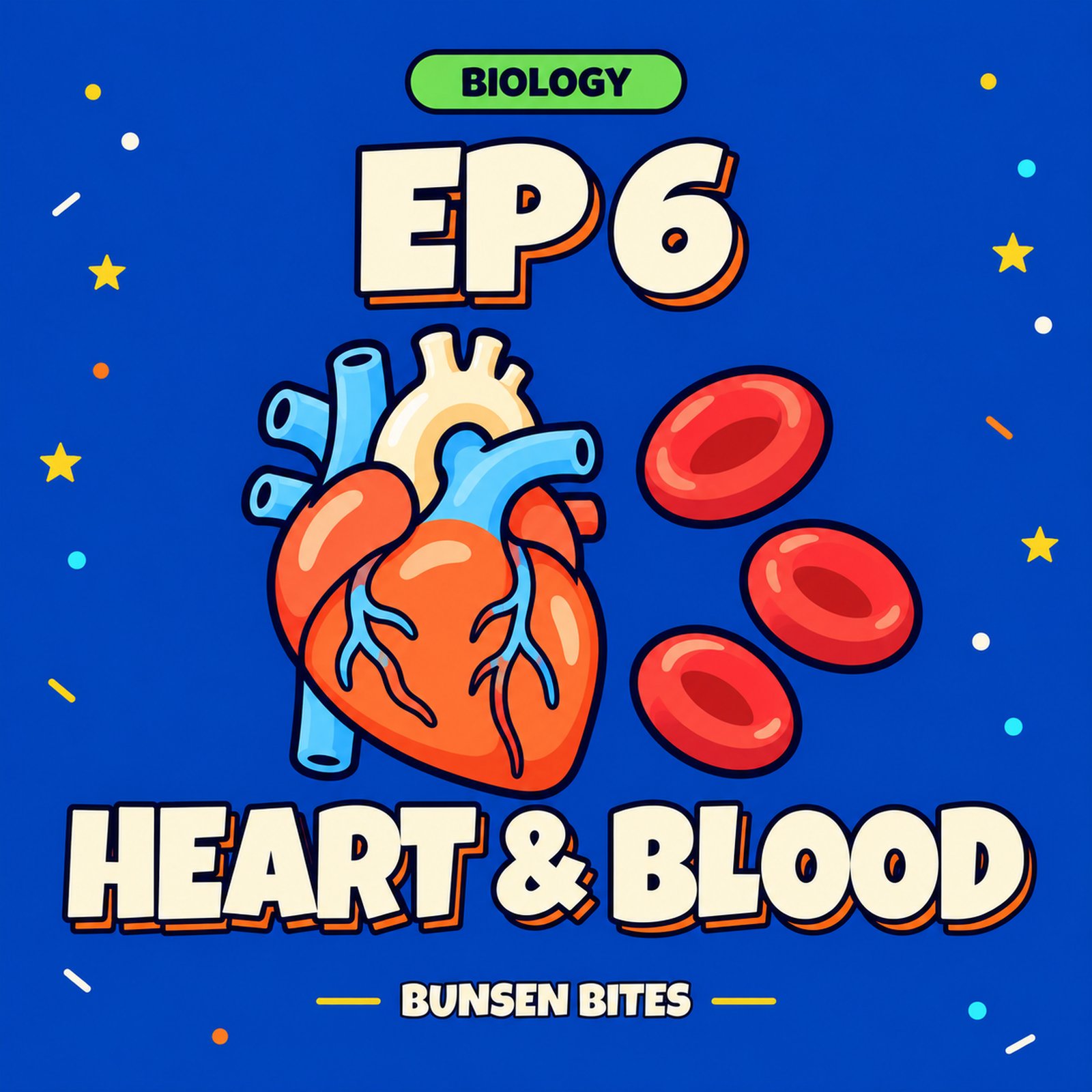 Why Your Blood Goes Through Your Heart Twice (Biology Level 8)